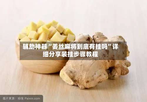 辅助神器“姜丝麻将到底有挂吗”详细分享装挂步骤教程-第2张图片