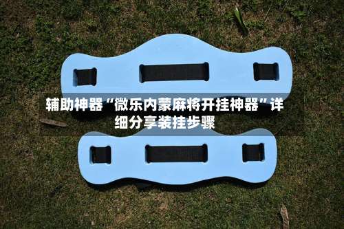 辅助神器“微乐内蒙麻将开挂神器	”详细分享装挂步骤-第2张图片