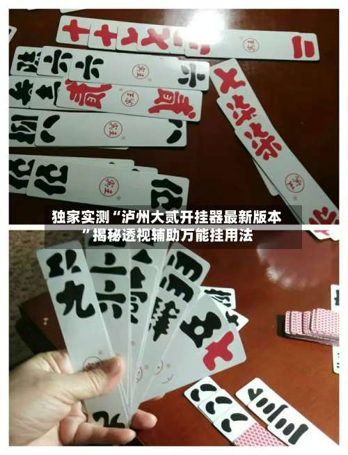 独家实测“泸州大贰开挂器最新版本”揭秘透视辅助万能挂用法-第2张图片