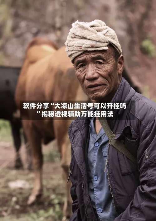 软件分享“大凉山生活号可以开挂吗”揭秘透视辅助万能挂用法-第3张图片