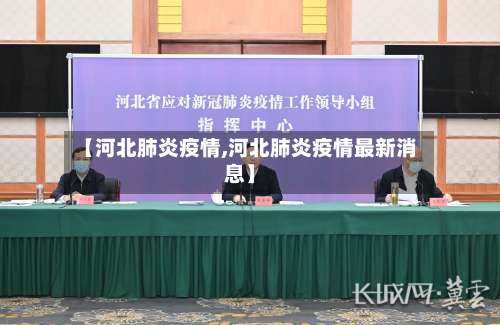 【河北肺炎疫情,河北肺炎疫情最新消息】-第3张图片