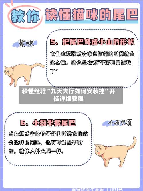 秒懂经验“九天大厅如何安装挂	”开挂详细教程-第1张图片