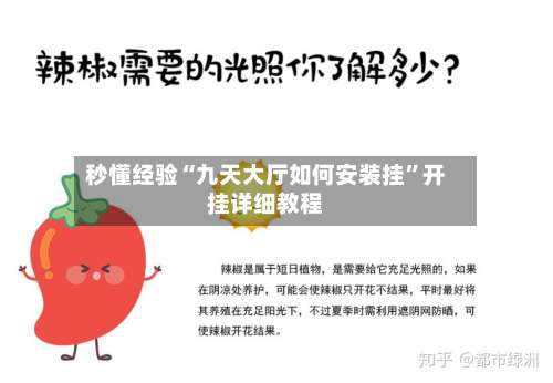 秒懂经验“九天大厅如何安装挂”开挂详细教程-第3张图片