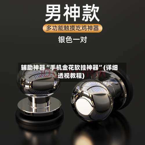 辅助神器“手机金花软挂神器”(详细透视教程)-第1张图片