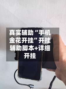 真实辅助“手机金花开挂	”开挂辅助脚本+详细开挂-第2张图片