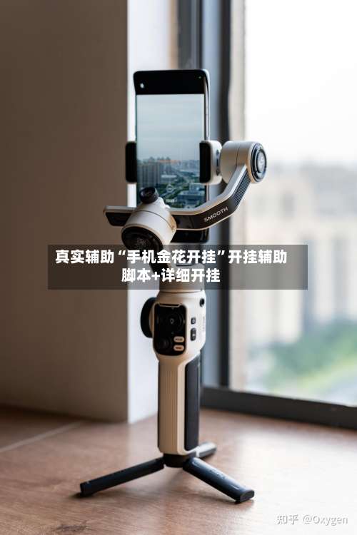 真实辅助“手机金花开挂”开挂辅助脚本+详细开挂-第3张图片