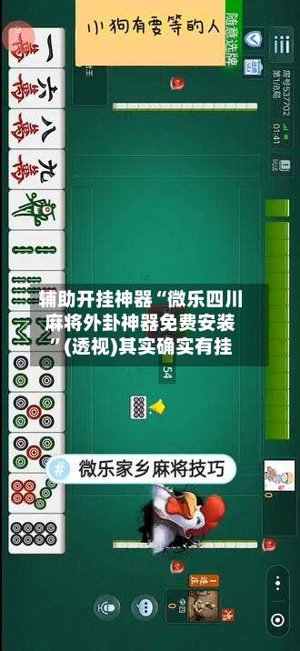 辅助开挂神器“微乐四川麻将外卦神器免费安装”(透视)其实确实有挂-第1张图片