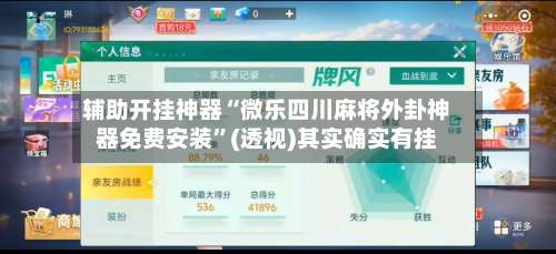 辅助开挂神器“微乐四川麻将外卦神器免费安装	”(透视)其实确实有挂-第2张图片