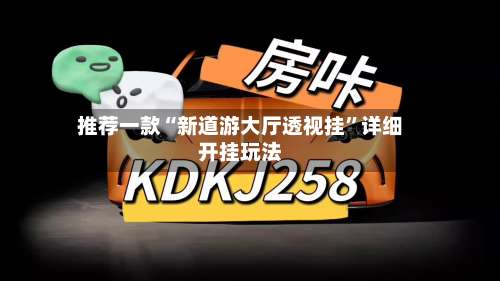 推荐一款“新道游大厅透视挂	”详细开挂玩法-第2张图片