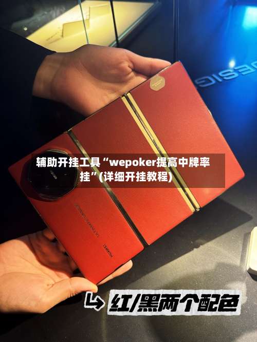 辅助开挂工具“wepoker提高中牌率挂”(详细开挂教程)-第3张图片