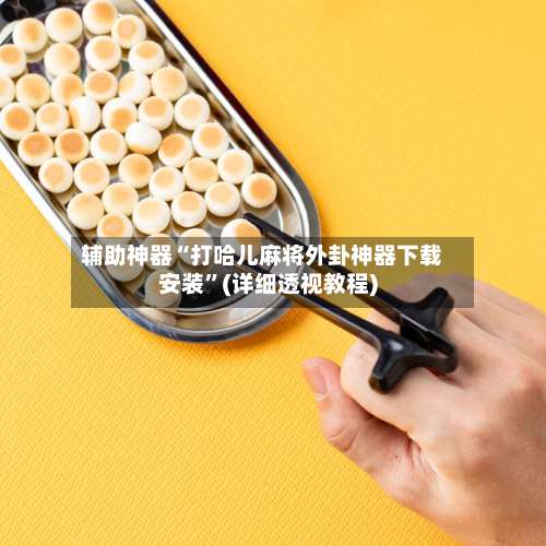 辅助神器“打哈儿麻将外卦神器下载安装”(详细透视教程)-第2张图片