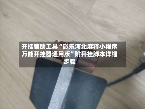 开挂辅助工具“微乐河北麻将小程序万能开挂器通用版”附开挂脚本详细步骤-第2张图片
