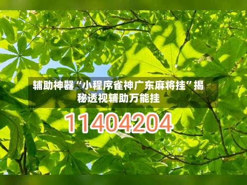 辅助神器“小程序雀神广东麻将挂”揭秘透视辅助万能挂-第1张图片