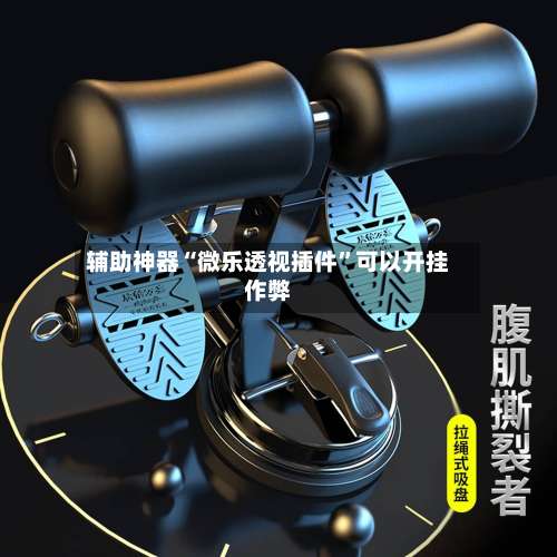 辅助神器“微乐透视插件	”可以开挂作弊-第2张图片
