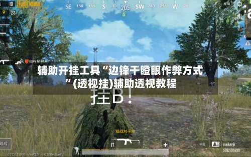 辅助开挂工具“边锋干瞪眼作弊方式”(透视挂)辅助透视教程-第3张图片