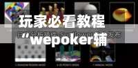 玩家必看教程“wepoker辅助透视作弊挂	”通用版下载教程！-第2张图片