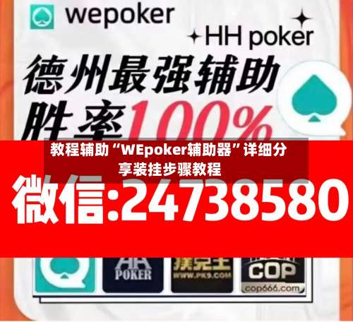 教程辅助“WEpoker辅助器”详细分享装挂步骤教程-第3张图片