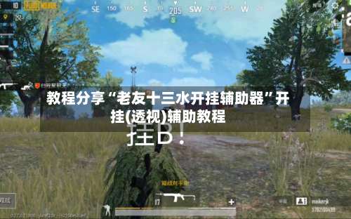 教程分享“老友十三水开挂辅助器”开挂(透视)辅助教程-第2张图片