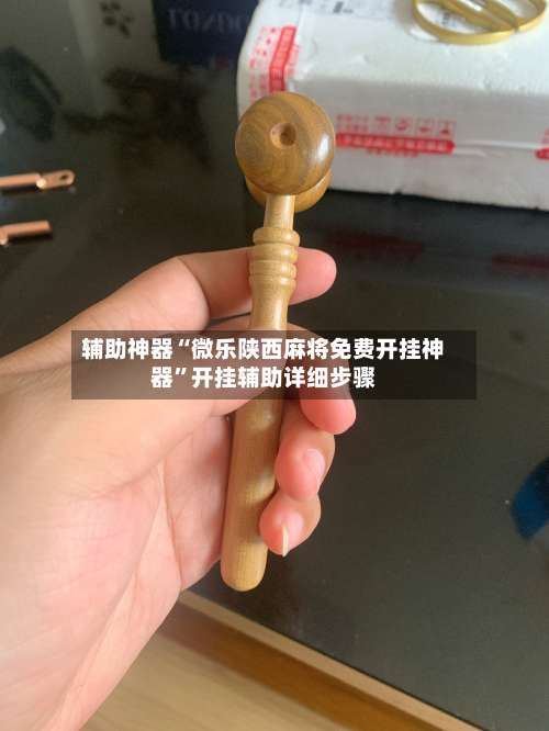 辅助神器“微乐陕西麻将免费开挂神器	”开挂辅助详细步骤-第2张图片