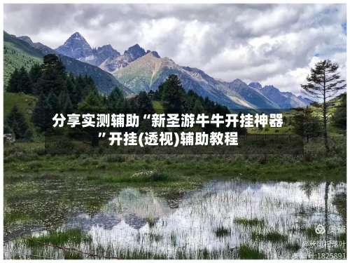 分享实测辅助“新圣游牛牛开挂神器	”开挂(透视)辅助教程-第3张图片