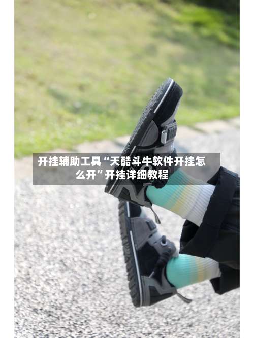 开挂辅助工具“天酷斗牛软件开挂怎么开”开挂详细教程-第2张图片