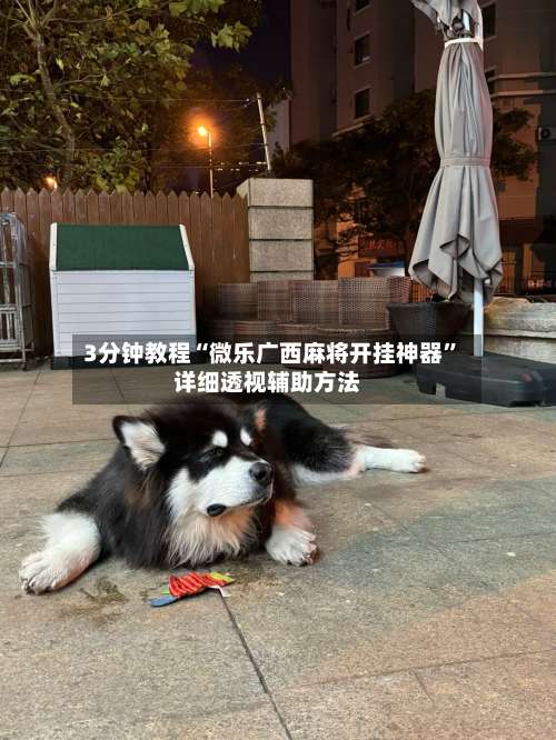 3分钟教程“微乐广西麻将开挂神器”详细透视辅助方法-第2张图片