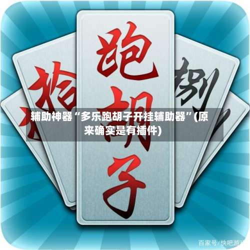 辅助神器“多乐跑胡子开挂辅助器	”(原来确实是有插件)-第1张图片