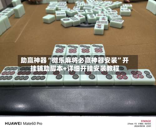 助赢神器“微乐麻将必赢神器安装”开挂辅助脚本+详细开挂安装教程-第2张图片