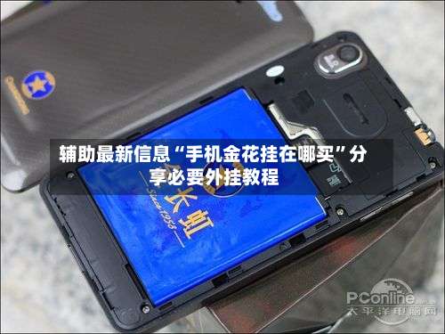 辅助最新信息“手机金花挂在哪买”分享必要外挂教程-第3张图片