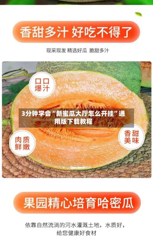 3分钟学会“新蜜瓜大厅怎么开挂”通用版下载教程-第1张图片