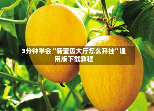 3分钟学会“新蜜瓜大厅怎么开挂	”通用版下载教程-第2张图片