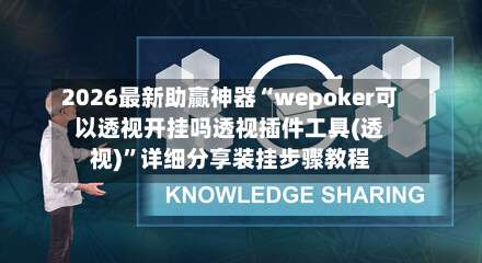 2026最新助赢神器“wepoker可以透视开挂吗透视插件工具(透视)	”详细分享装挂步骤教程-第2张图片
