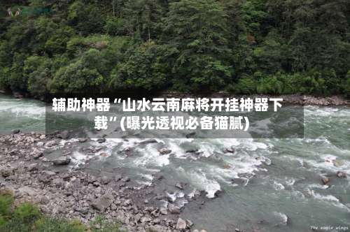 辅助神器“山水云南麻将开挂神器下载	”(曝光透视必备猫腻)-第2张图片