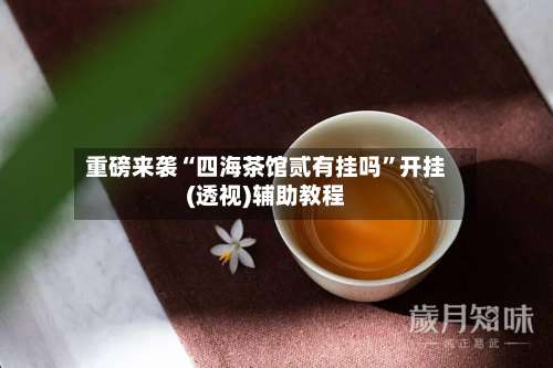 重磅来袭“四海茶馆贰有挂吗”开挂(透视)辅助教程-第3张图片