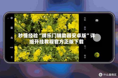 秒懂经验“牌乐门辅助器安卓版	”详细开挂教程官方正版下载-第2张图片
