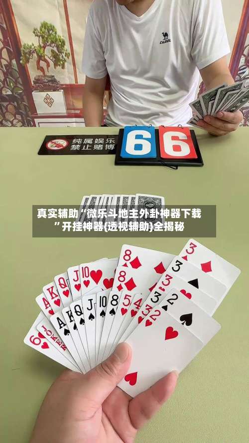 真实辅助“微乐斗地主外卦神器下载”开挂神器{透视辅助}全揭秘-第1张图片