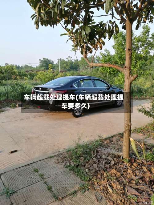 车辆超载处理提车(车辆超载处理提车要多久)-第2张图片