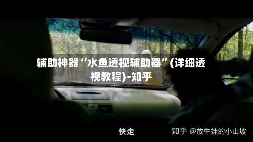 辅助神器“水鱼透视辅助器”(详细透视教程)-知乎-第1张图片