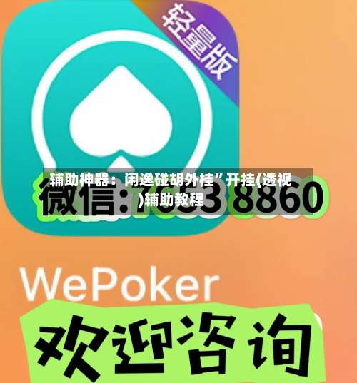 辅助神器：闲逸碰胡外桂”开挂(透视)辅助教程-第1张图片