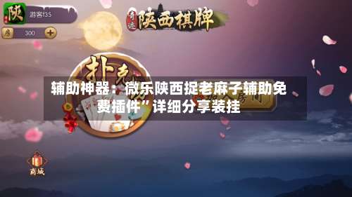 辅助神器：微乐陕西捉老麻子辅助免费插件”详细分享装挂-第3张图片