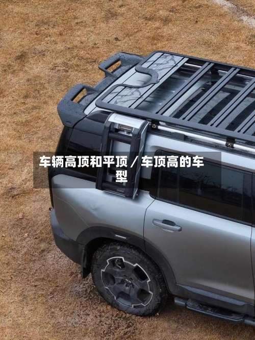 车辆高顶和平顶／车顶高的车型-第1张图片