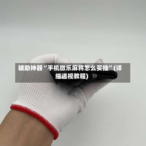 辅助神器“手机微乐麻将怎么买挂”(详细透视教程)-第2张图片