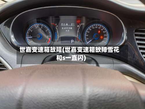 世嘉变速箱故障(世嘉变速箱故障雪花和s一直闪)-第1张图片