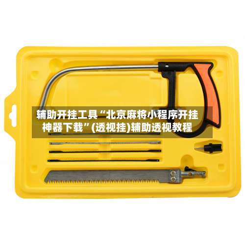 辅助开挂工具“北京麻将小程序开挂神器下载”(透视挂)辅助透视教程-第1张图片