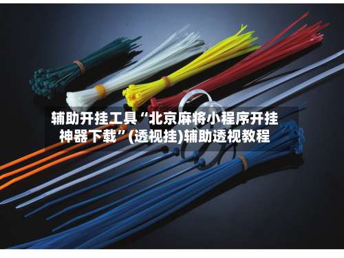 辅助开挂工具“北京麻将小程序开挂神器下载”(透视挂)辅助透视教程-第3张图片