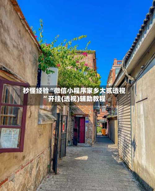 秒懂经验“微信小程序家乡大贰透视”开挂(透视)辅助教程-第3张图片