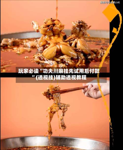 玩家必读“功夫川麻挂先试用后付款	”(透视挂)辅助透视教程-第1张图片