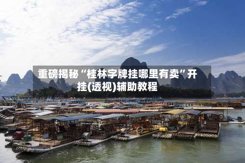 重磅揭秘“桂林字牌挂哪里有卖”开挂(透视)辅助教程-第3张图片