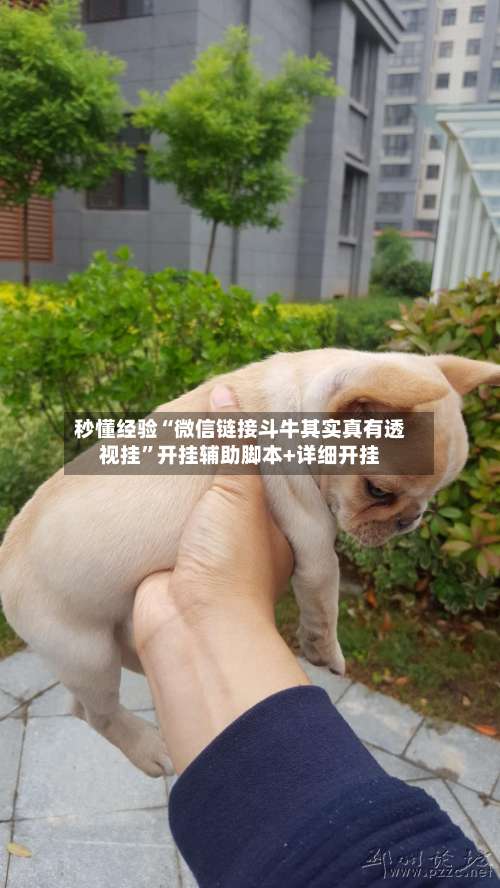 秒懂经验“微信链接斗牛其实真有透视挂”开挂辅助脚本+详细开挂-第1张图片