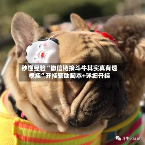 秒懂经验“微信链接斗牛其实真有透视挂”开挂辅助脚本+详细开挂-第2张图片